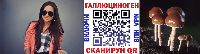 наркотики  Ладушкин  Псилоцибиновые грибы мицелий 
