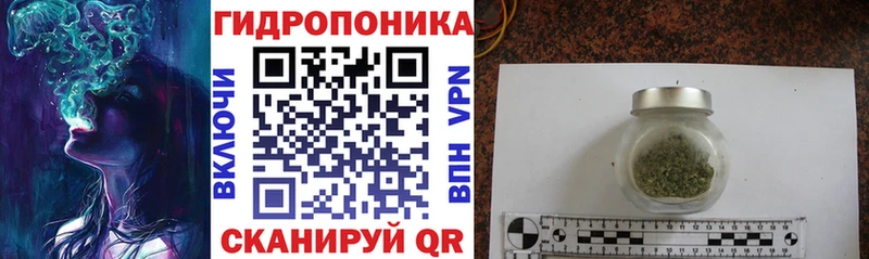 наркота  Ладушкин  Канабис тримм 